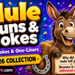 Mule Puns and Jokes