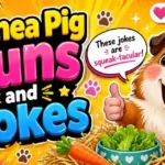 Guinea Pig Puns & Jokes