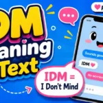 IDM Meaning in Text