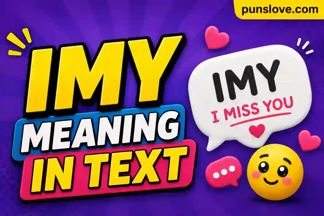 IMY Meaning in Text
