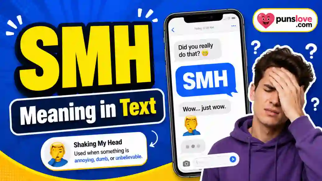 SMH Meaning in Text
