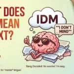 IDM Meaning in Text
