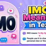 IMO Mean in Text