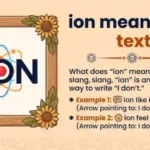 ION Meaning in Text