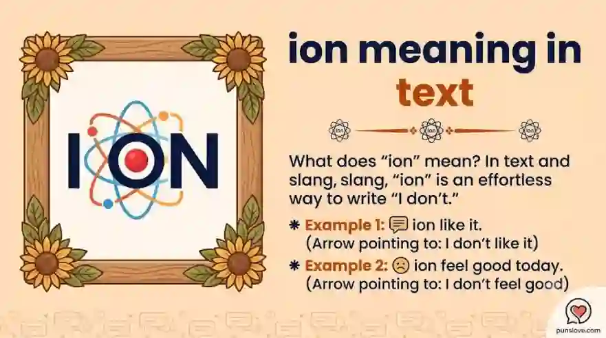 ION Meaning in Text