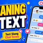Meaning in Text