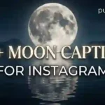 Moon Captions For Instagram