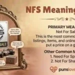 NFS Meaning in Text