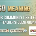 PTSO Meaning