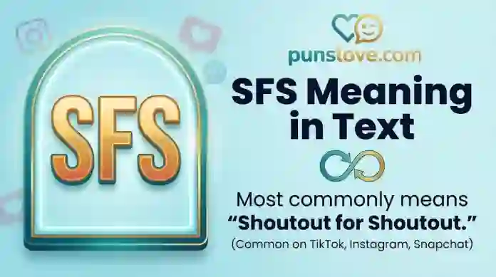 SFS Meaning in Text chat example