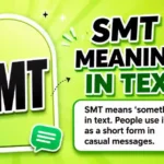 SMT Mean in Text