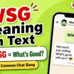 WSG Meaning in Text